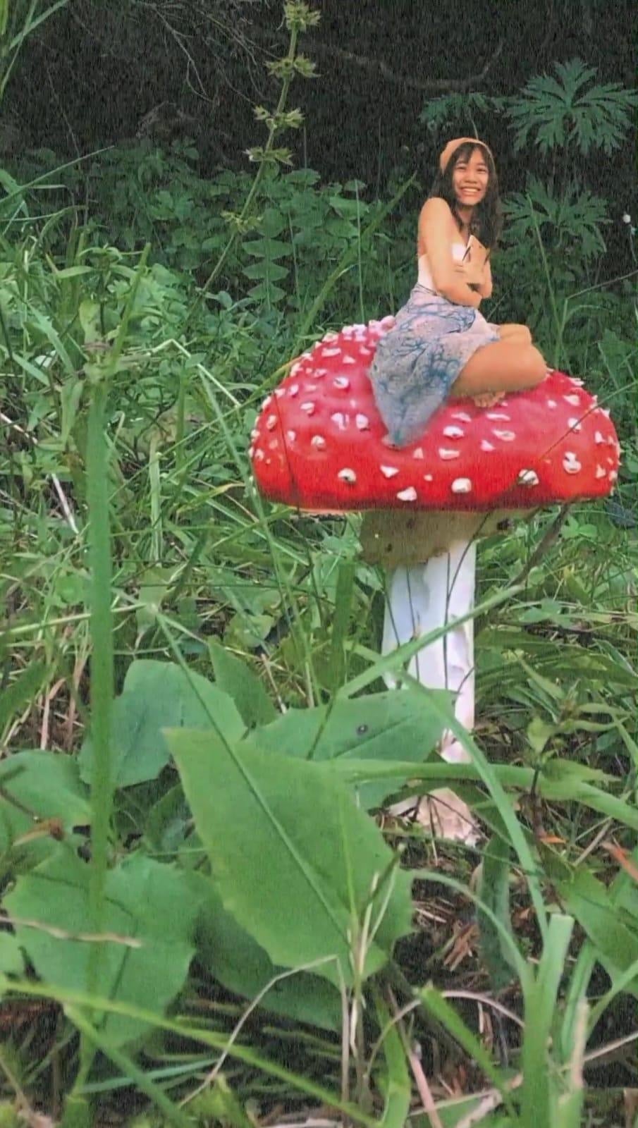 Mushroom - student project