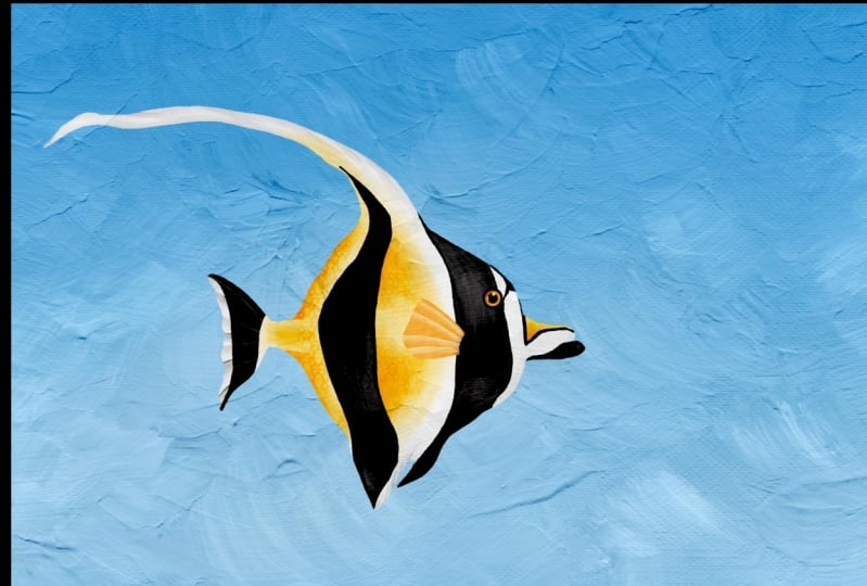 Curious Fish
