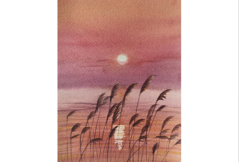Sunset landscape