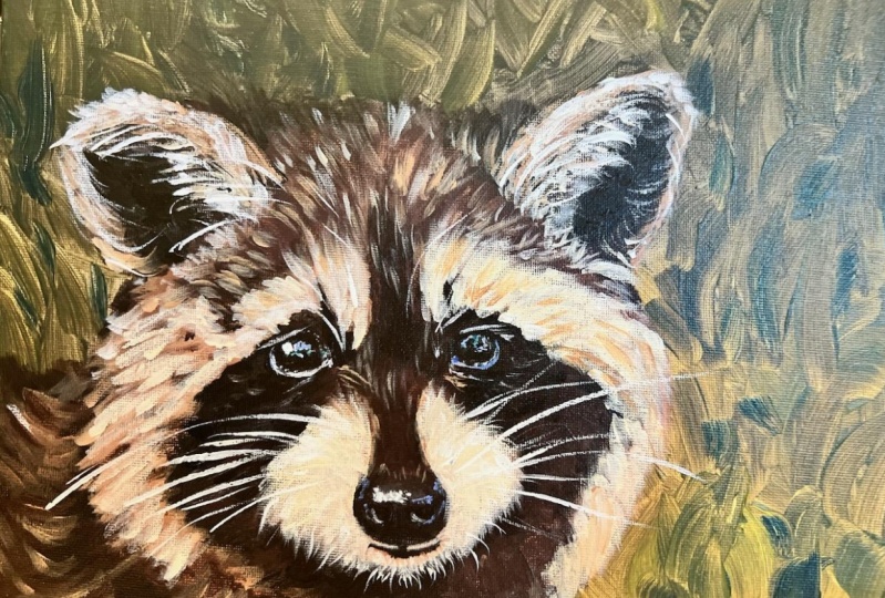 Little Raccoon