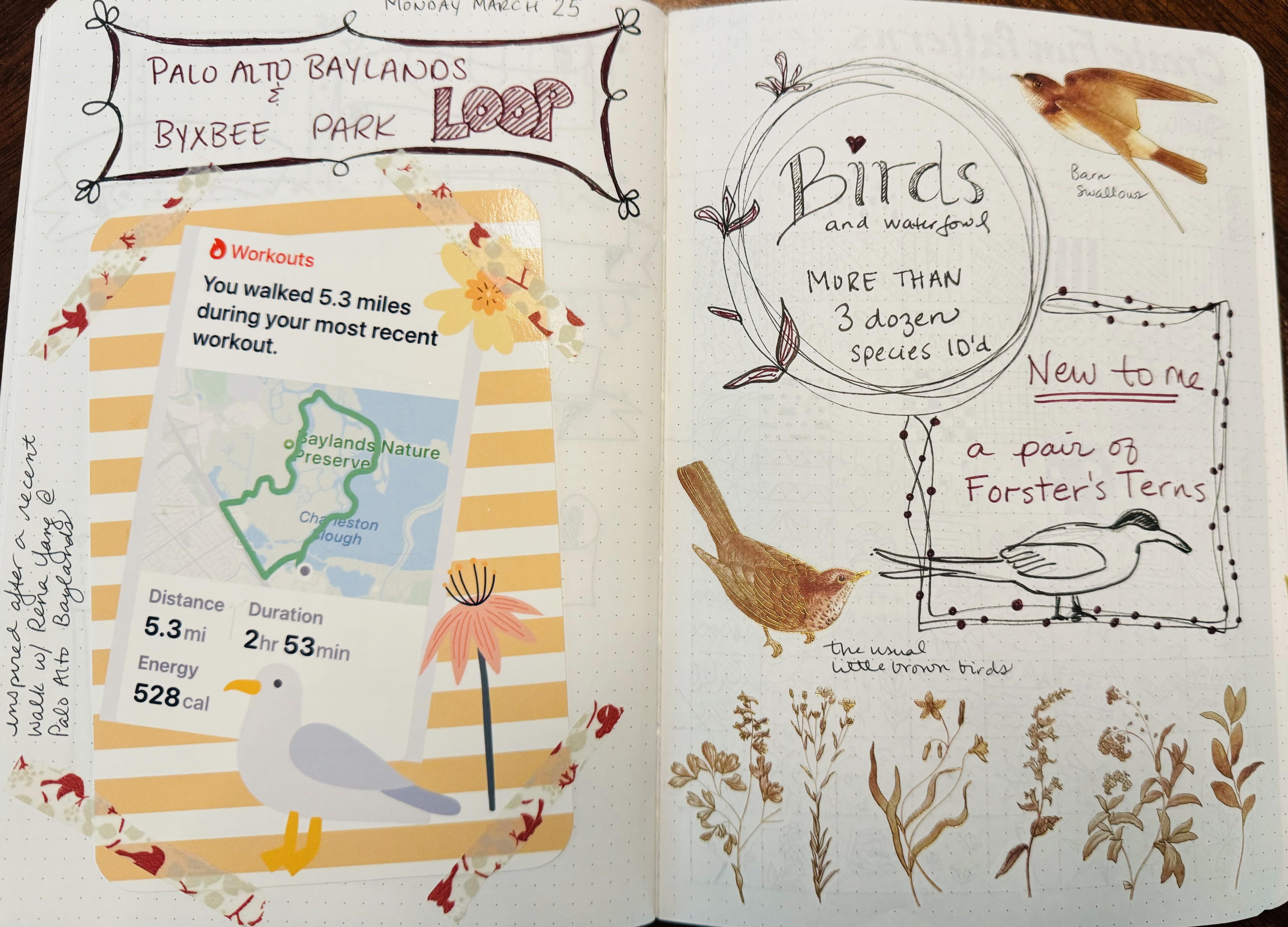 more-projects-from-class-img