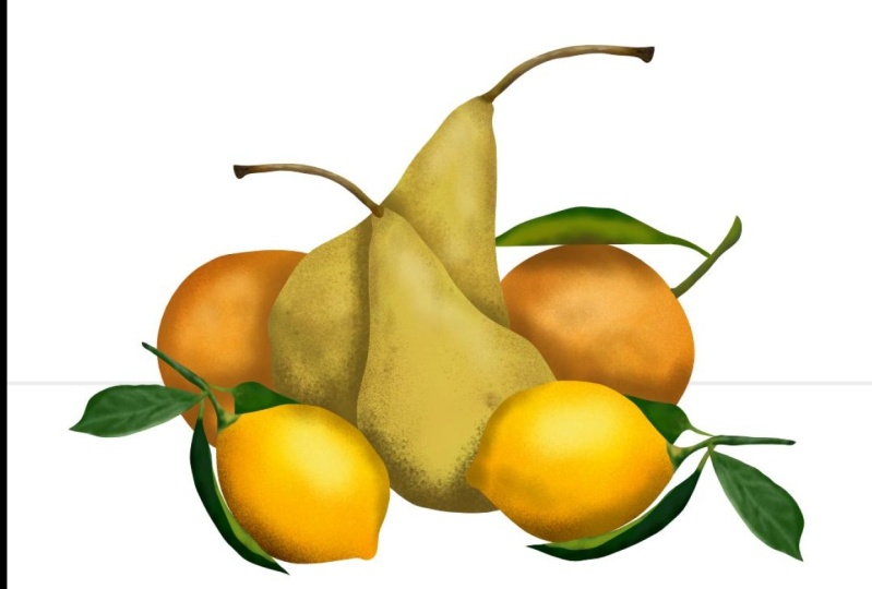 Spray Brush Fruit Bunch