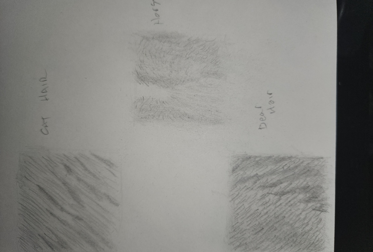 Fur - student project