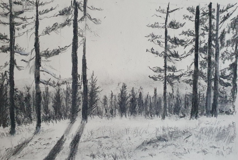 Woods, a sea drafts