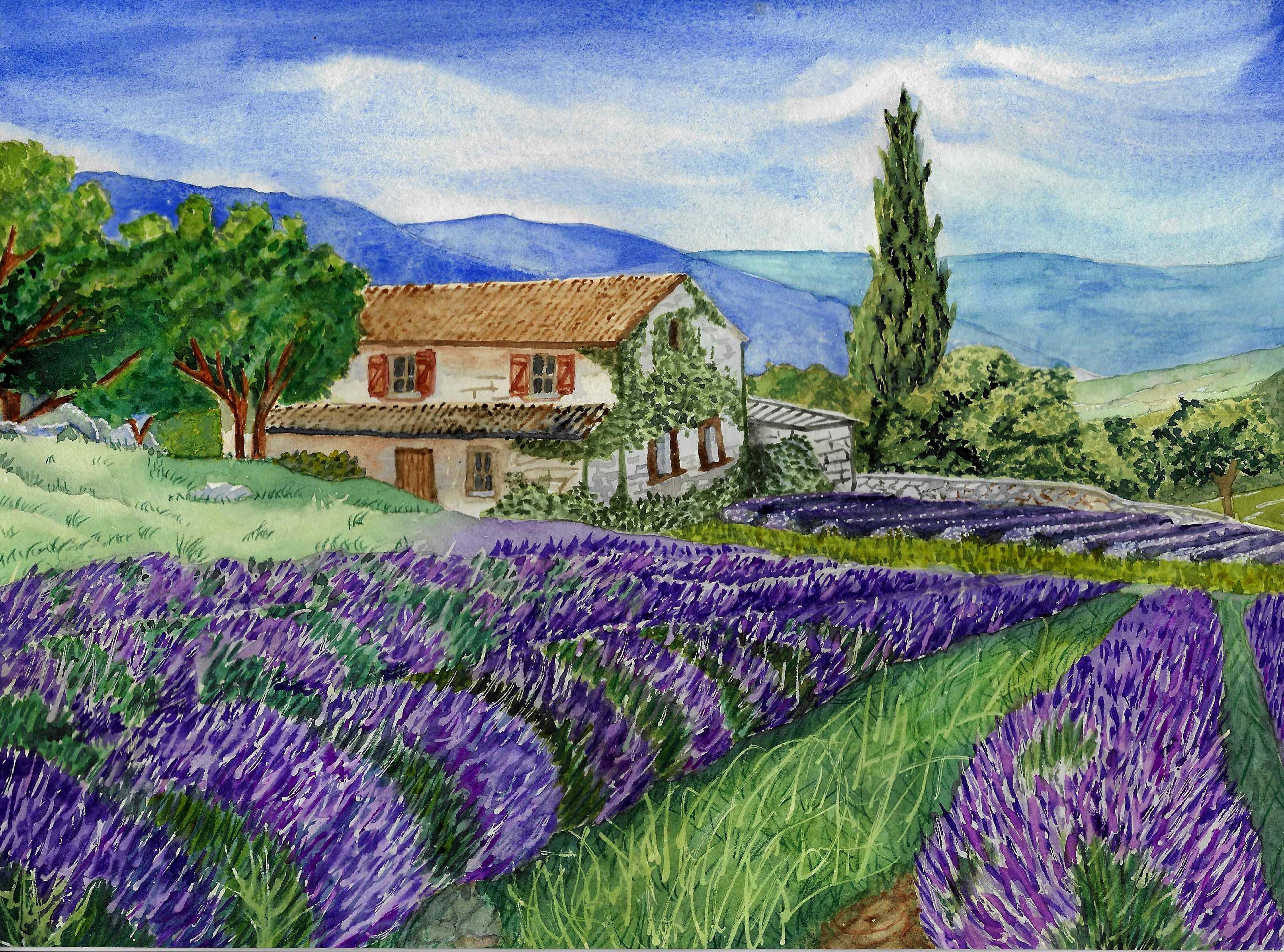 Lavender Fields - student project