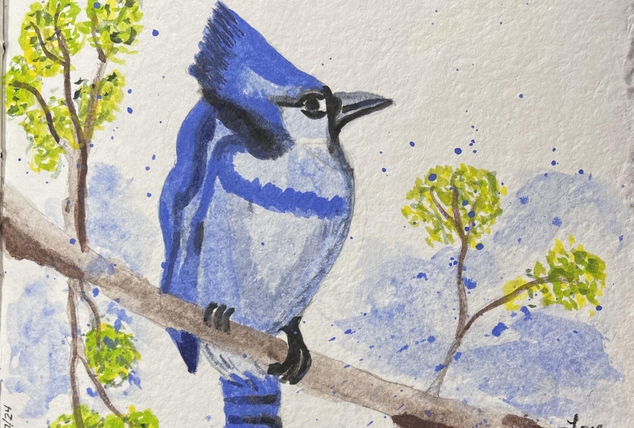 Voyage à l'aquarelle : créer votre style en 7 jours de peinture d'oiseaux  vibrants (Un guide étape par étape) | Sahaya Babu | Skillshare, image size:1242x839