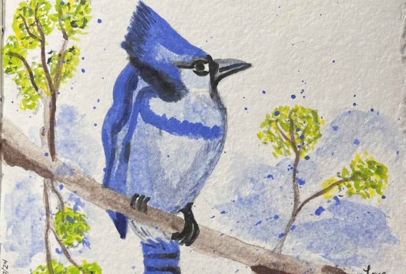 Birds in Watercolor
