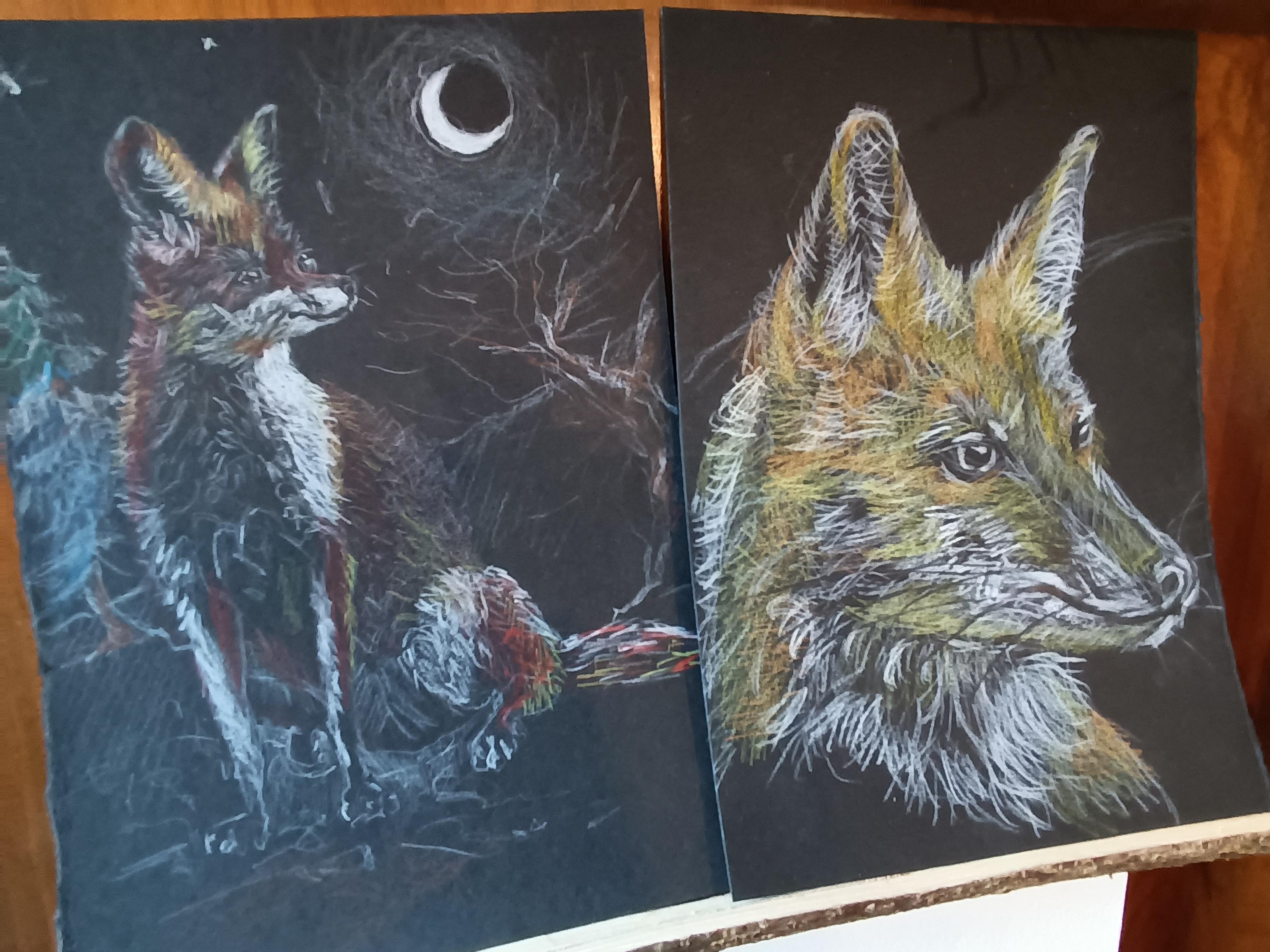 more-projects-from-class-img