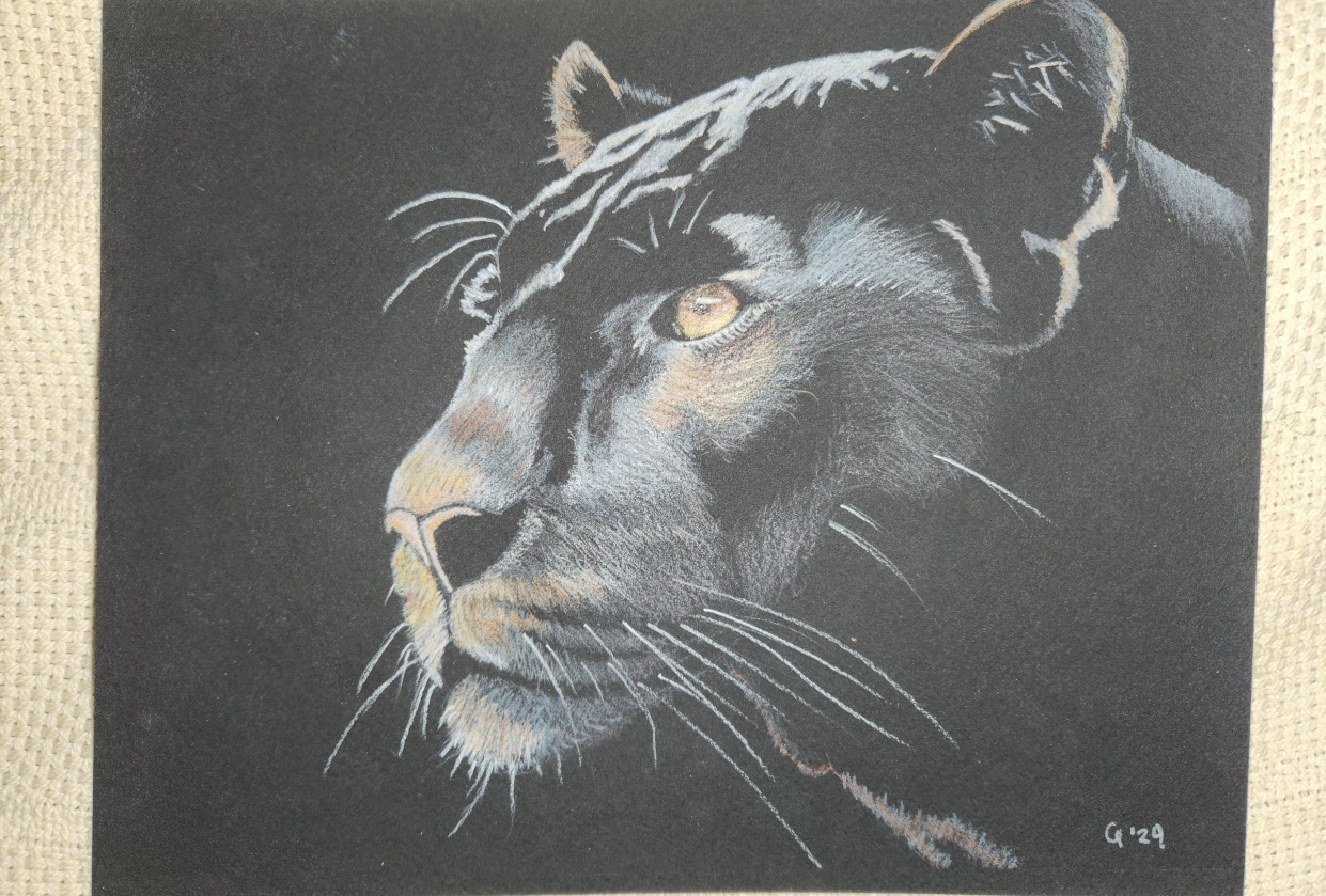 Black panther - student project