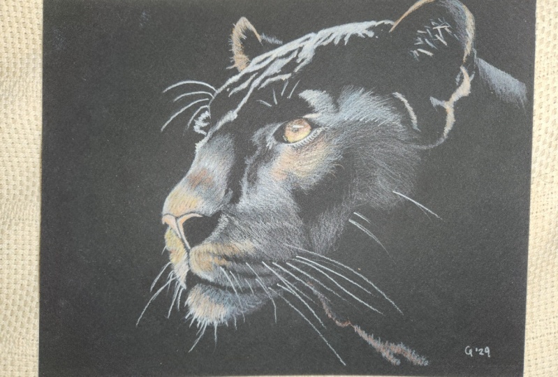 Black panther