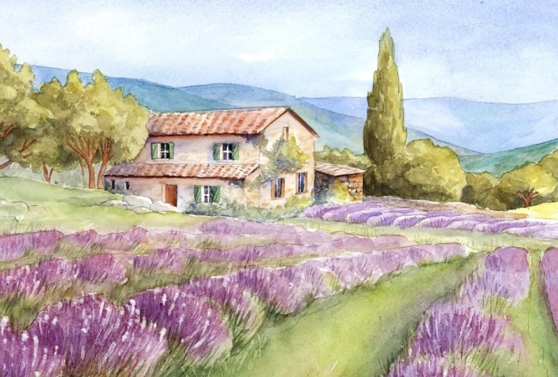 Watercolour Lavender field