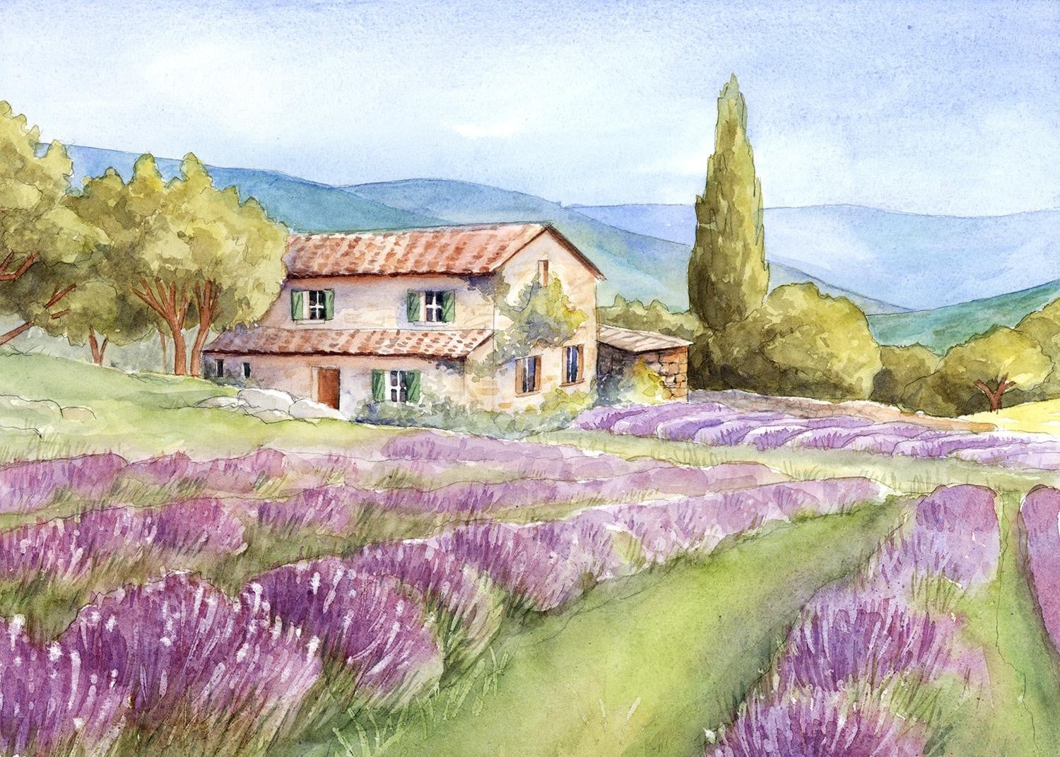Watercolour Lavender field - student project