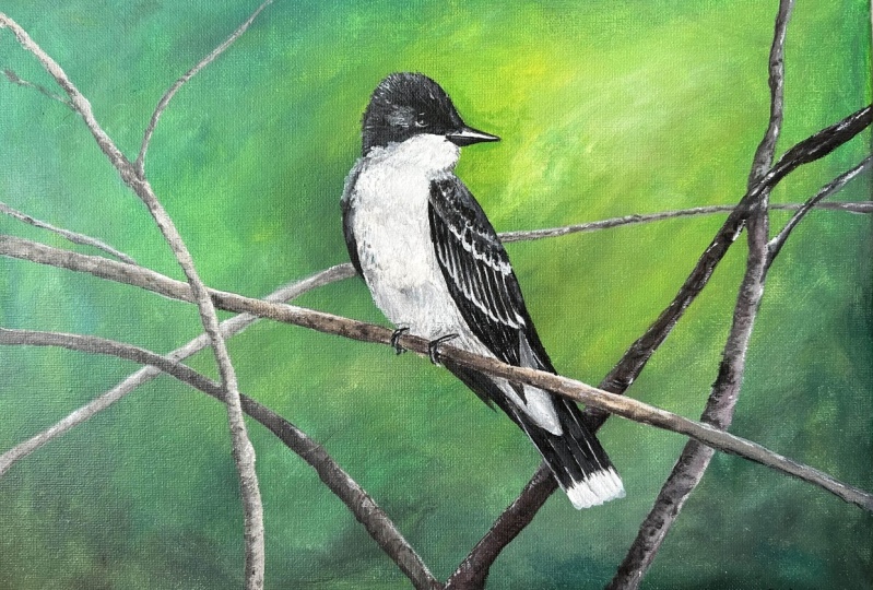Eastern Kingbird