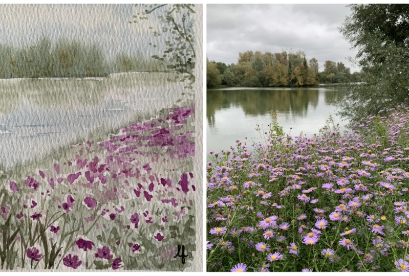 Simplifying reference photos