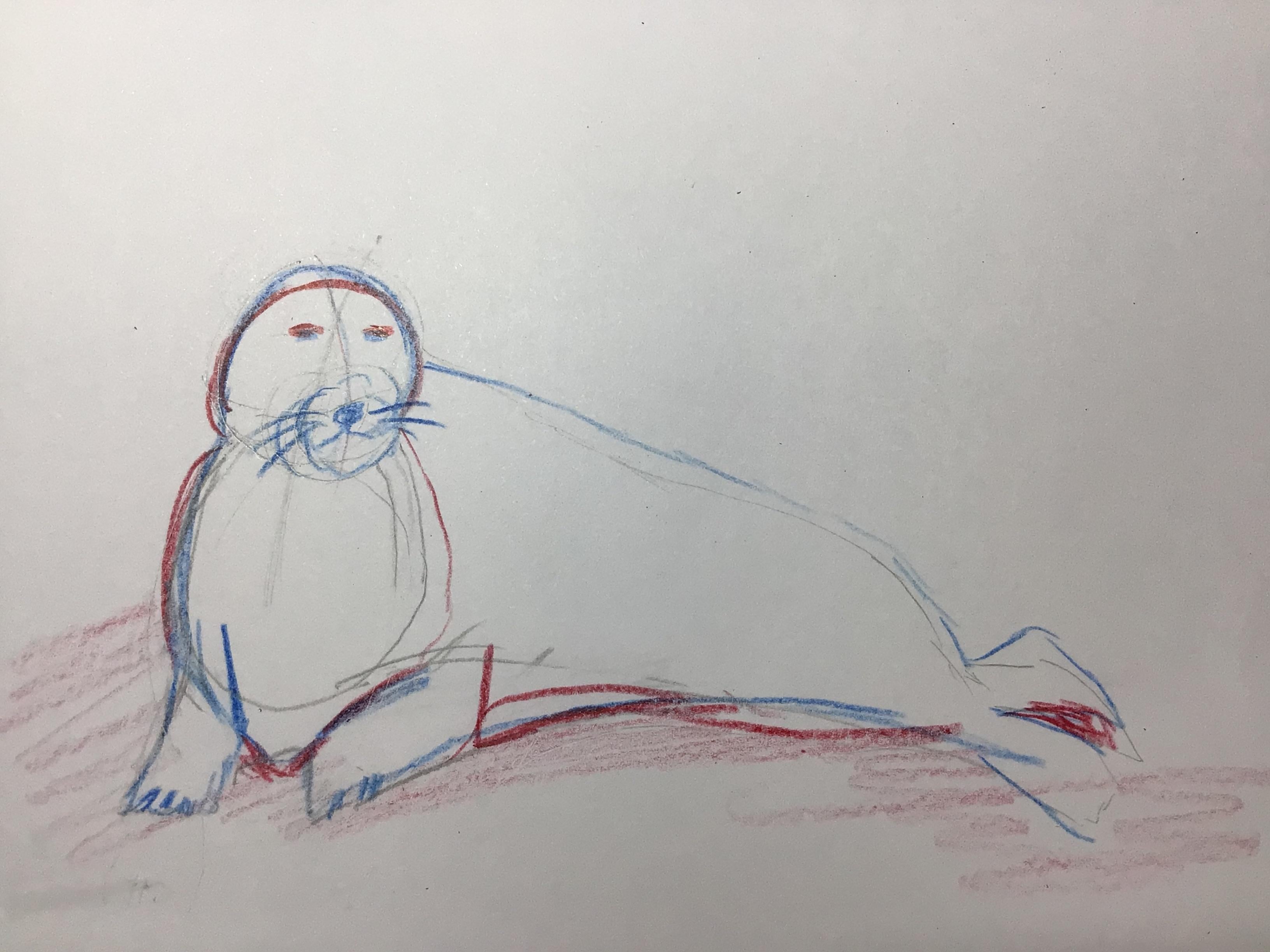 My seal - student project