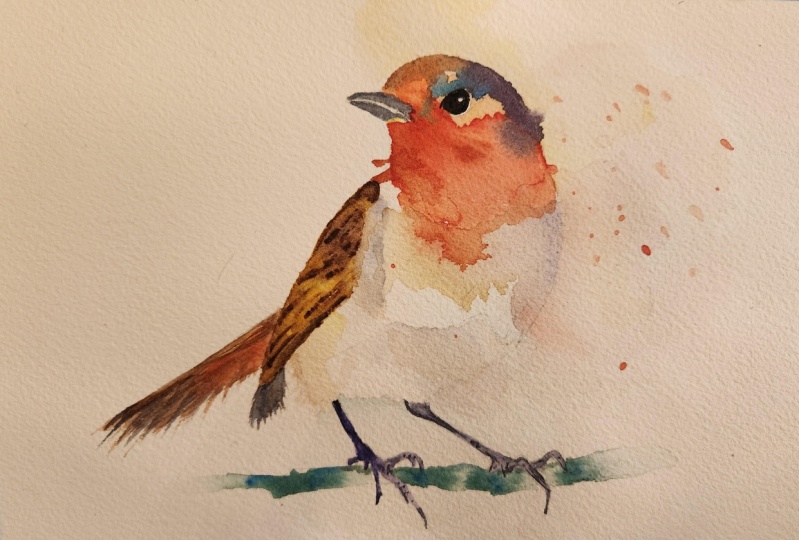 Robin!
