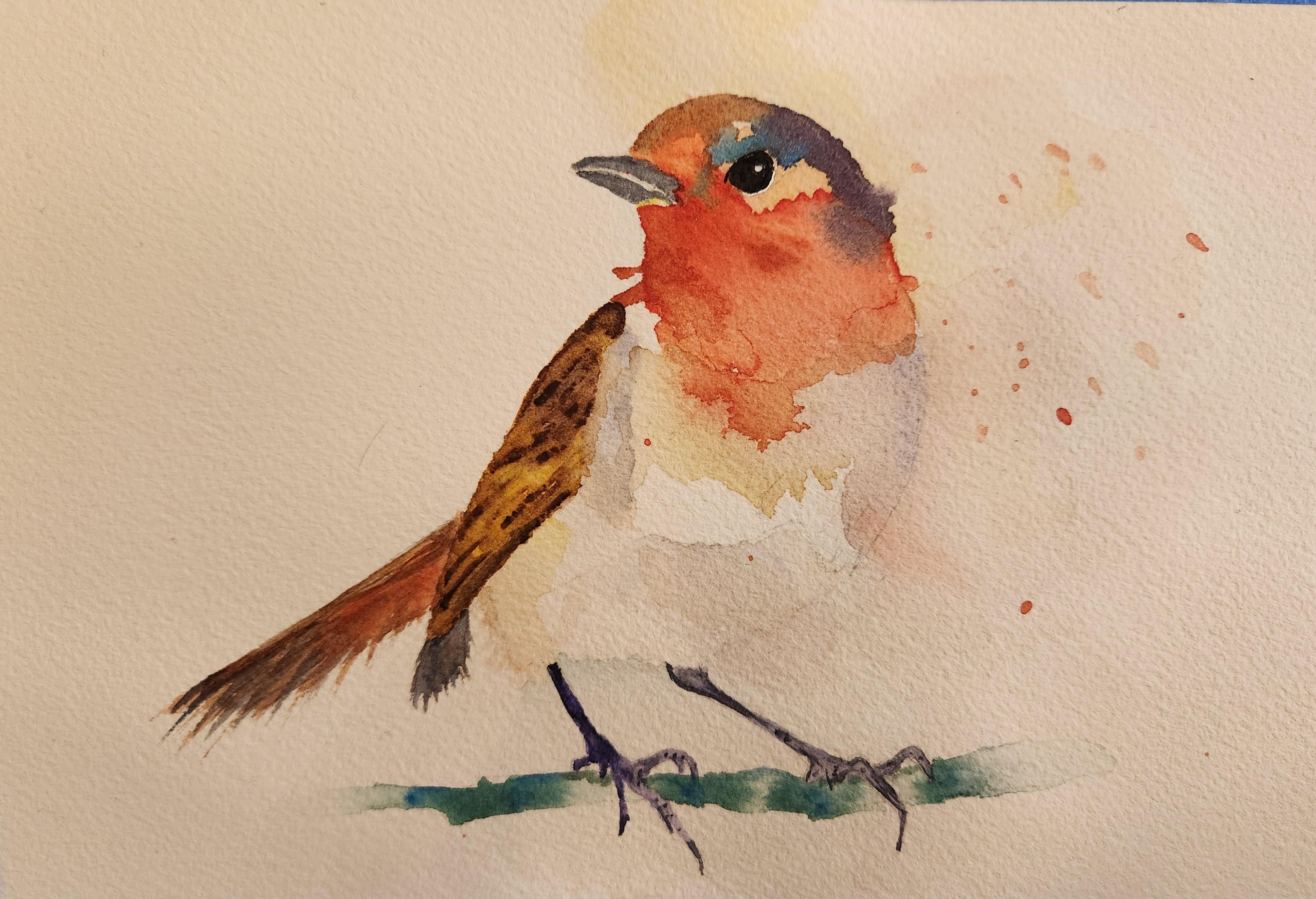 Robin! - student project