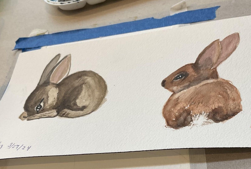Bunnies