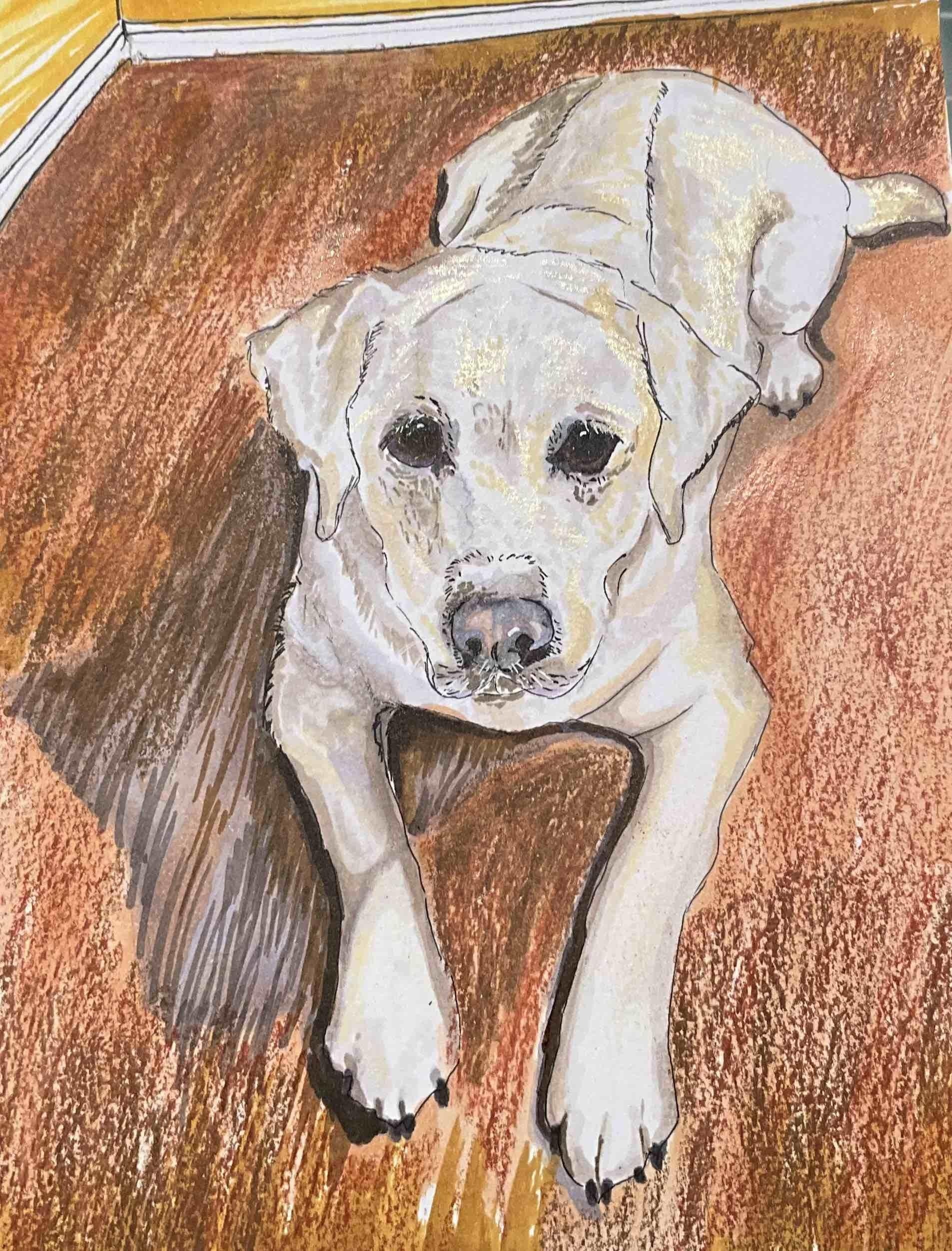 Pet Portrait - student project