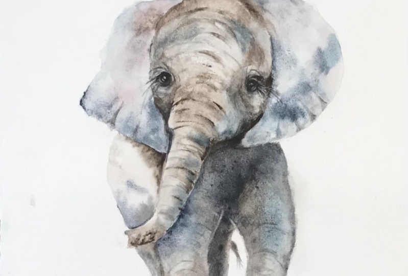 Elephant