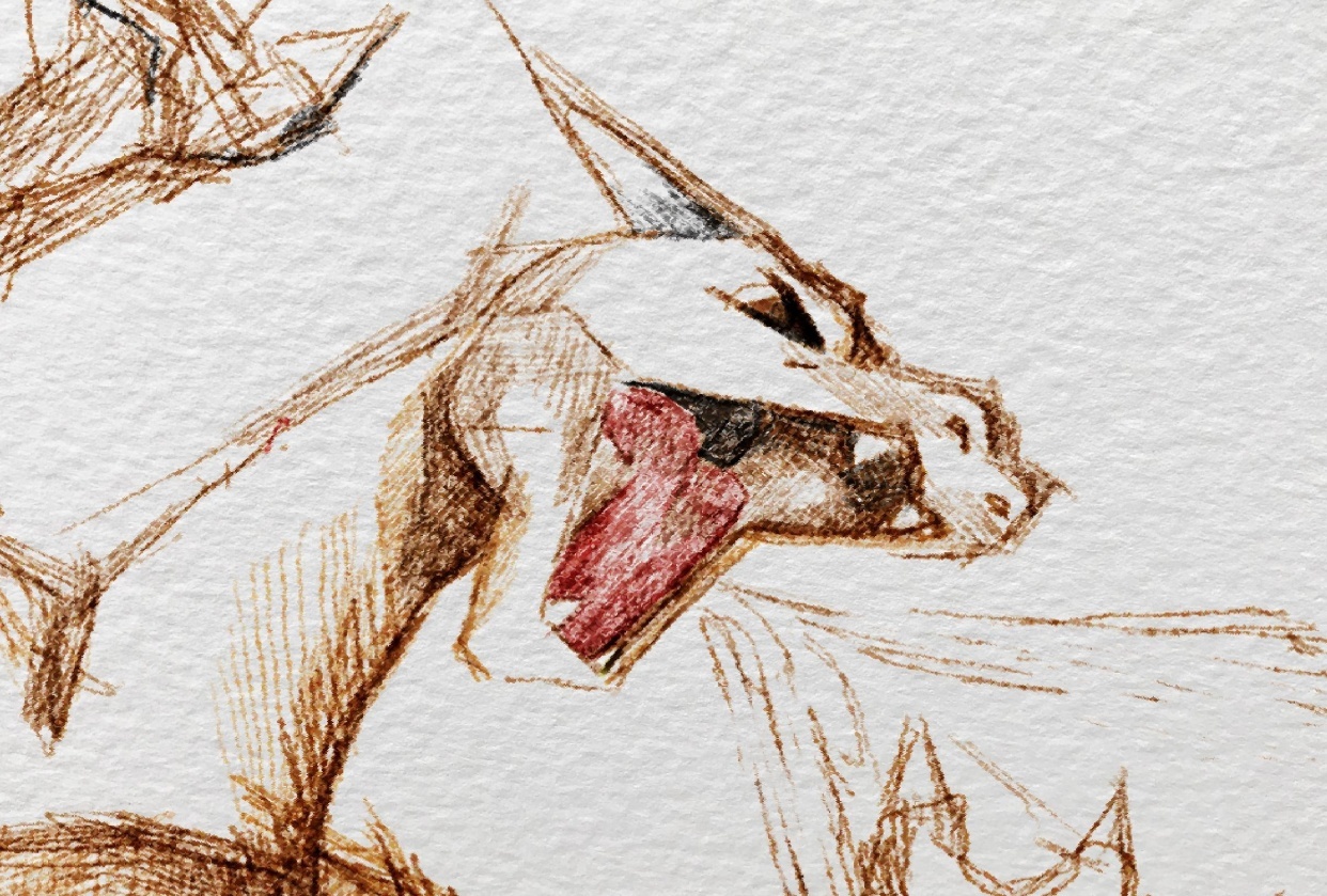Pikachu - student project