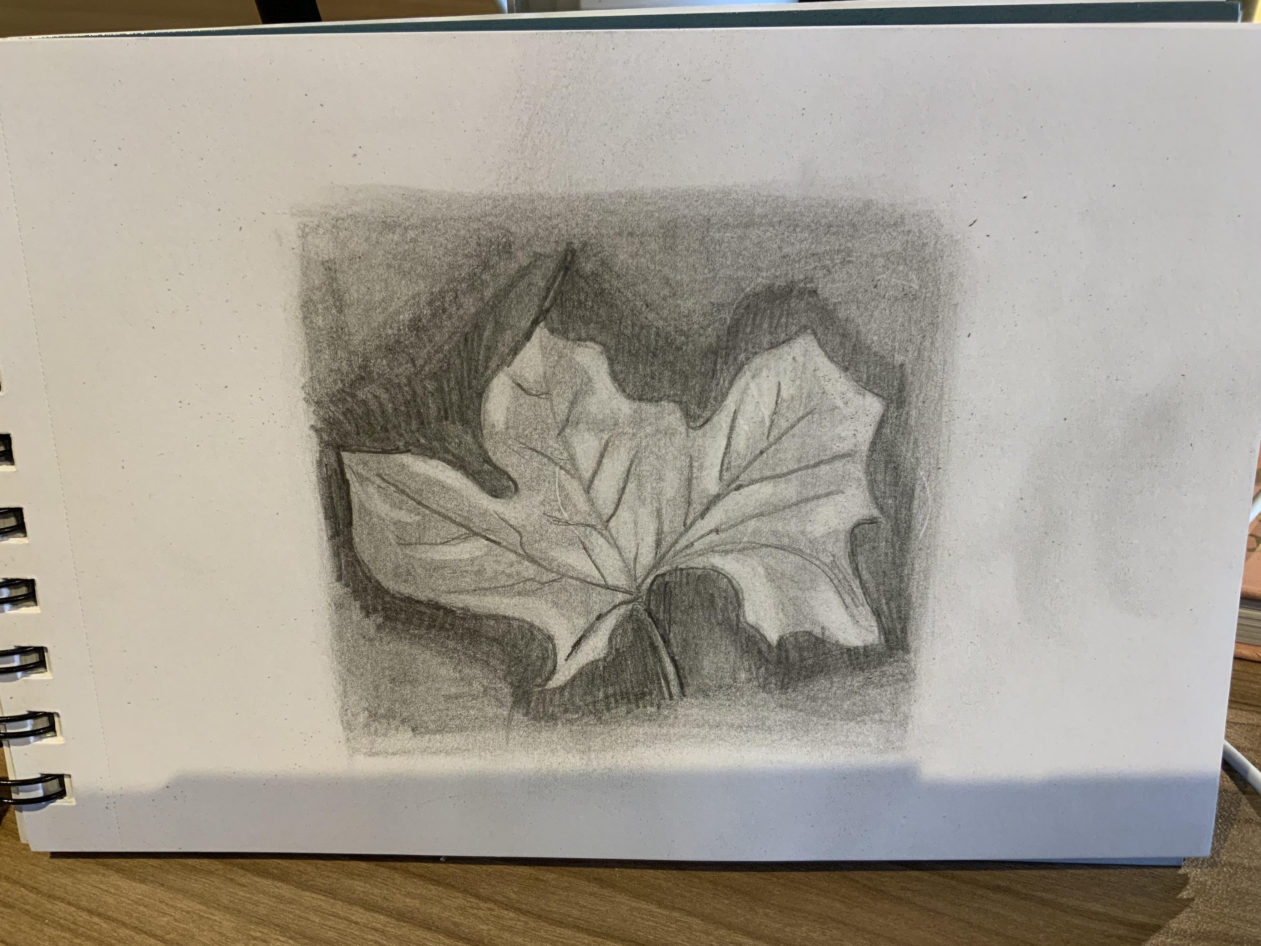 Leaf - Reverse Drawing - student project