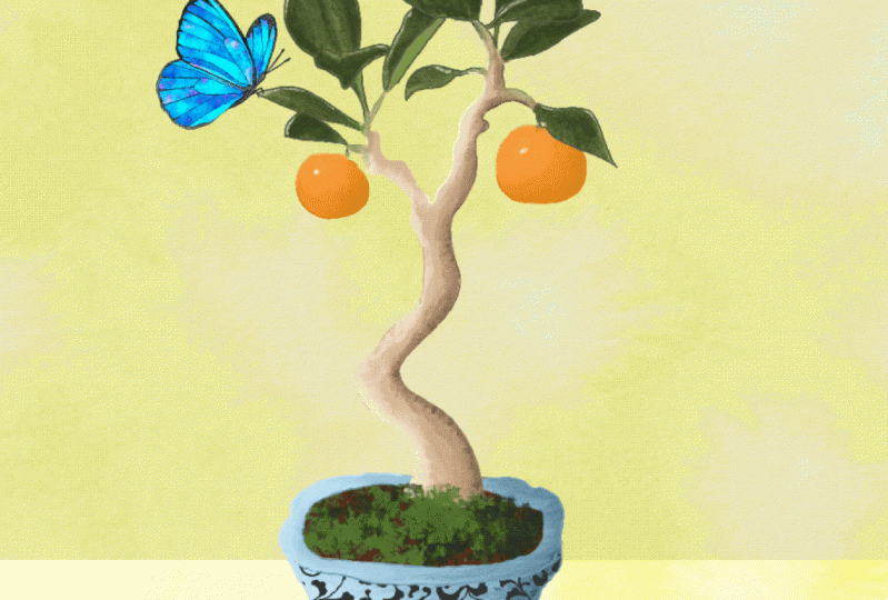 Plant