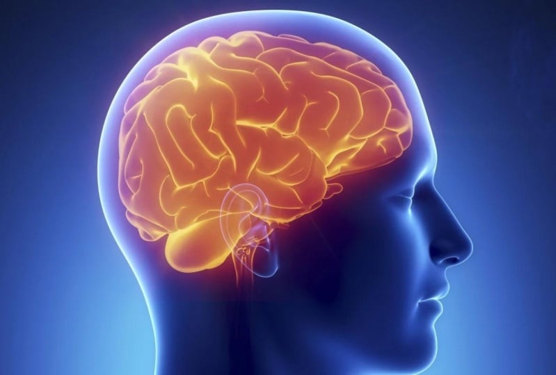 Second Brain - Polish Version