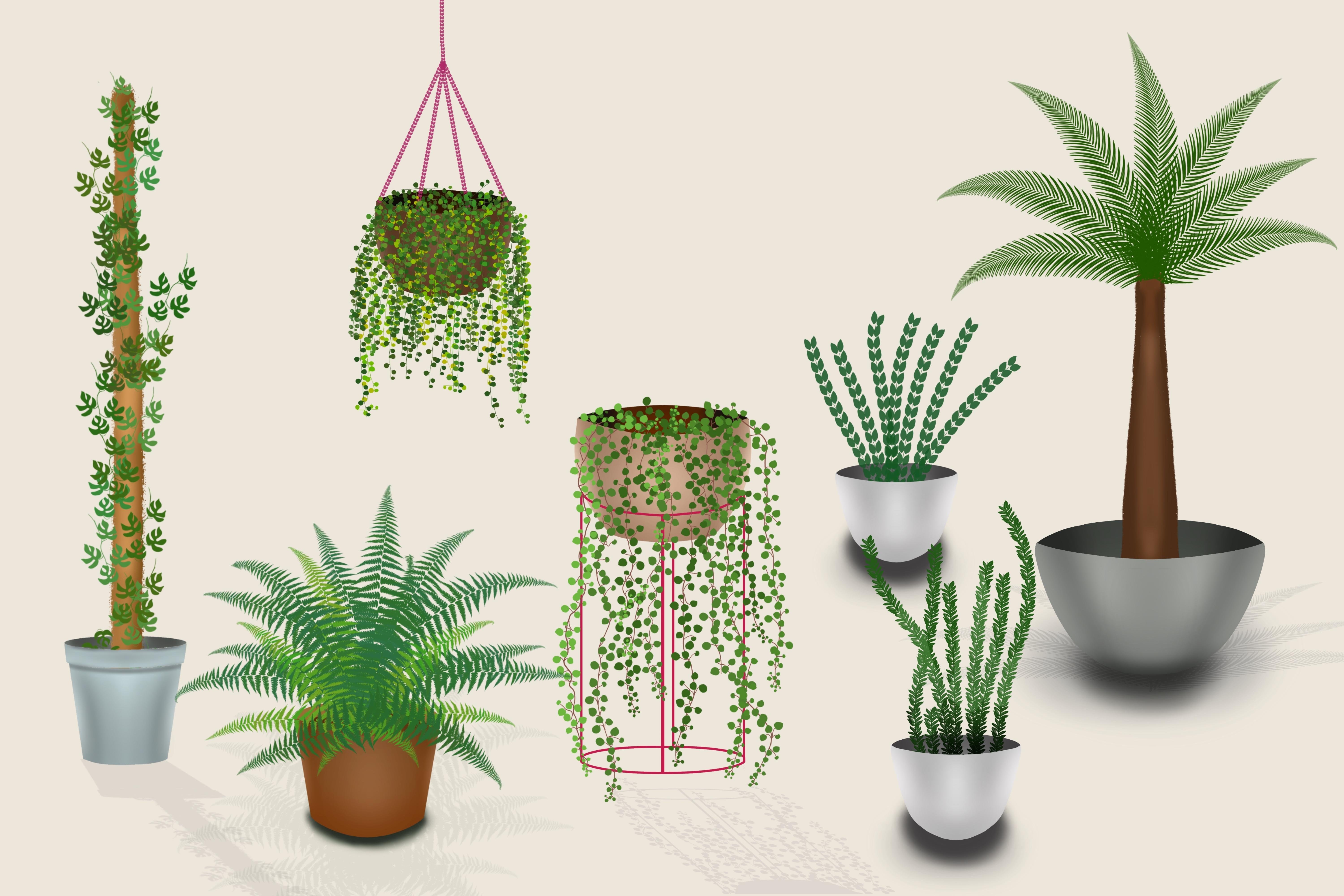 more-projects-from-class-img