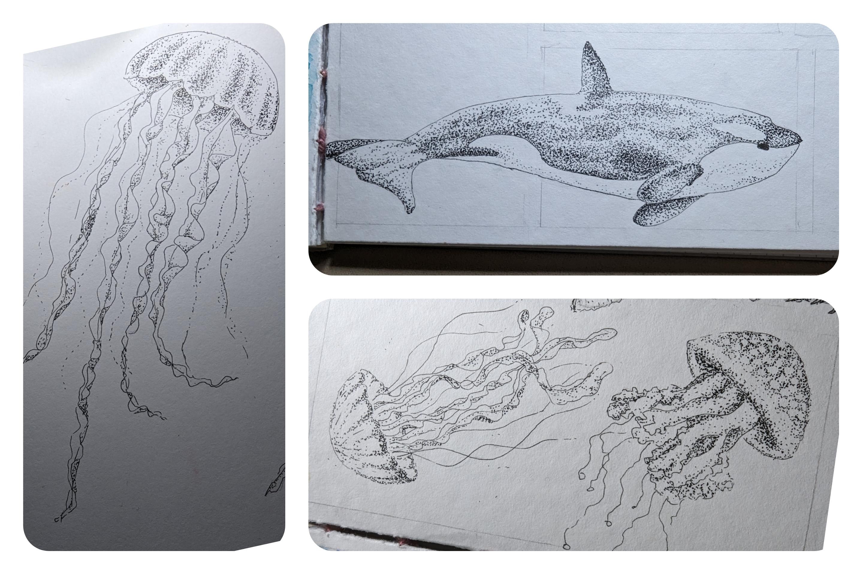more-projects-from-class-img