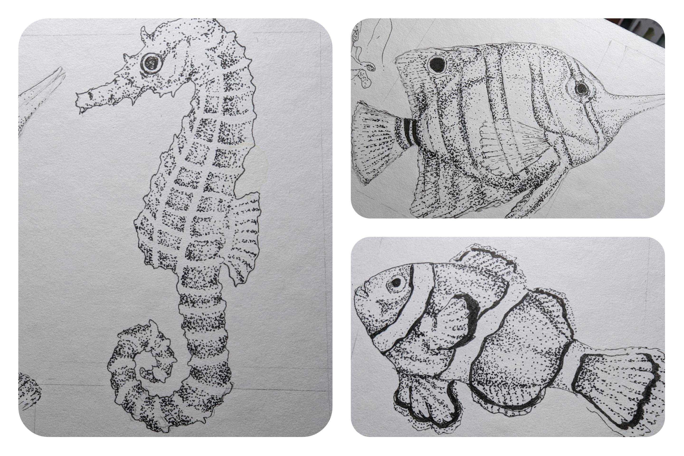 more-projects-from-class-img
