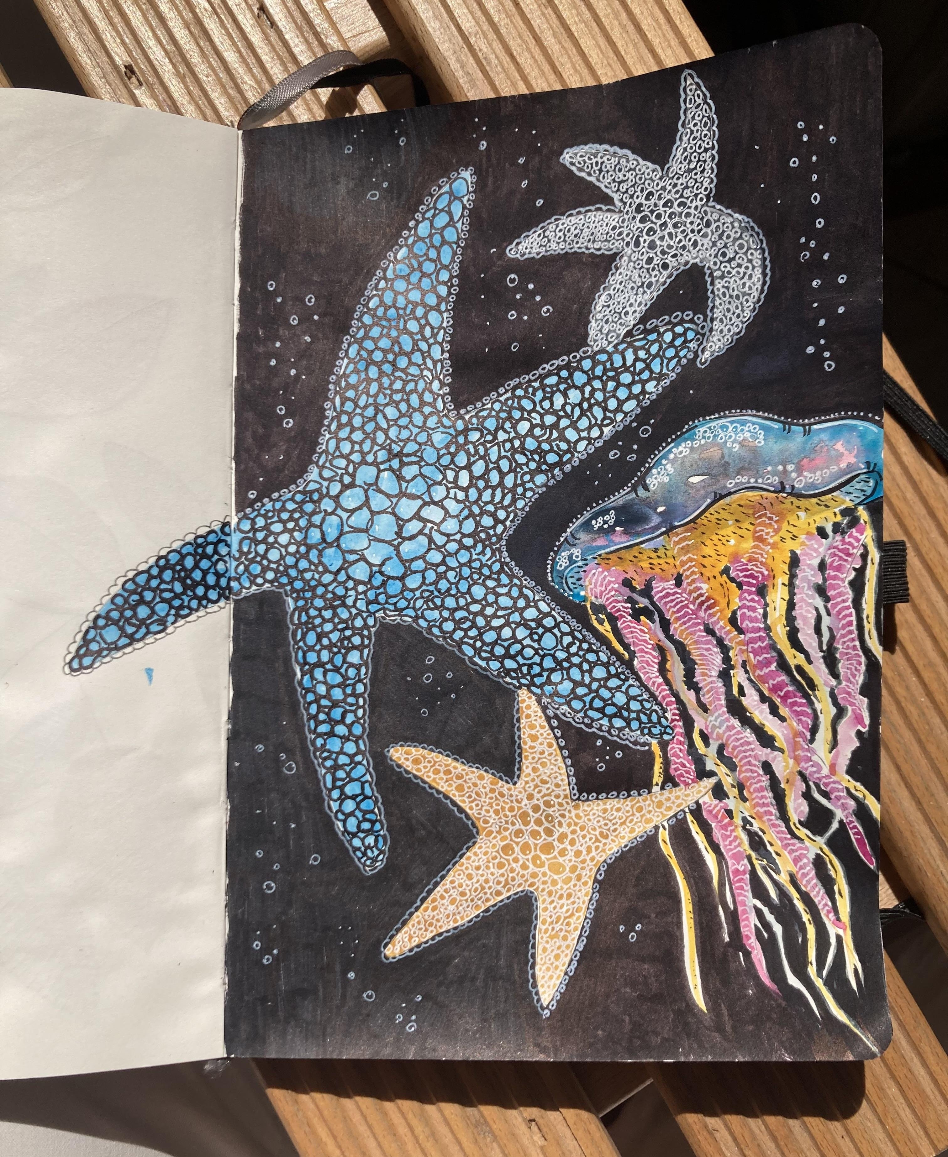 more-projects-from-class-img
