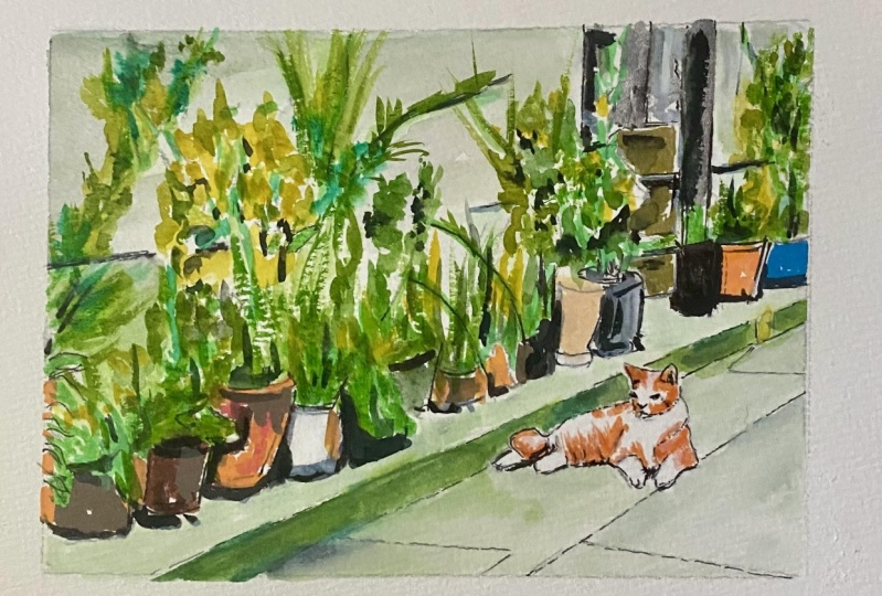 Plant pots and little cat.