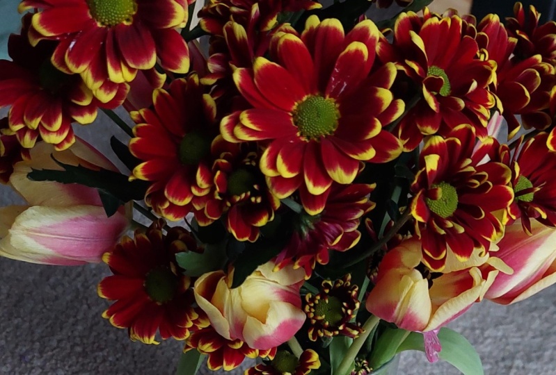 Chrysantemus and tulips