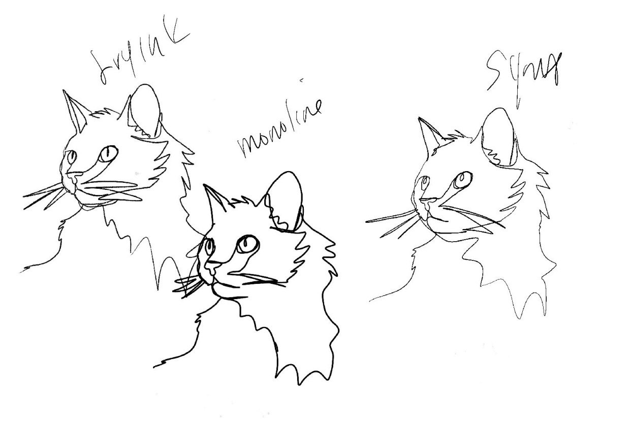 Cat - student project