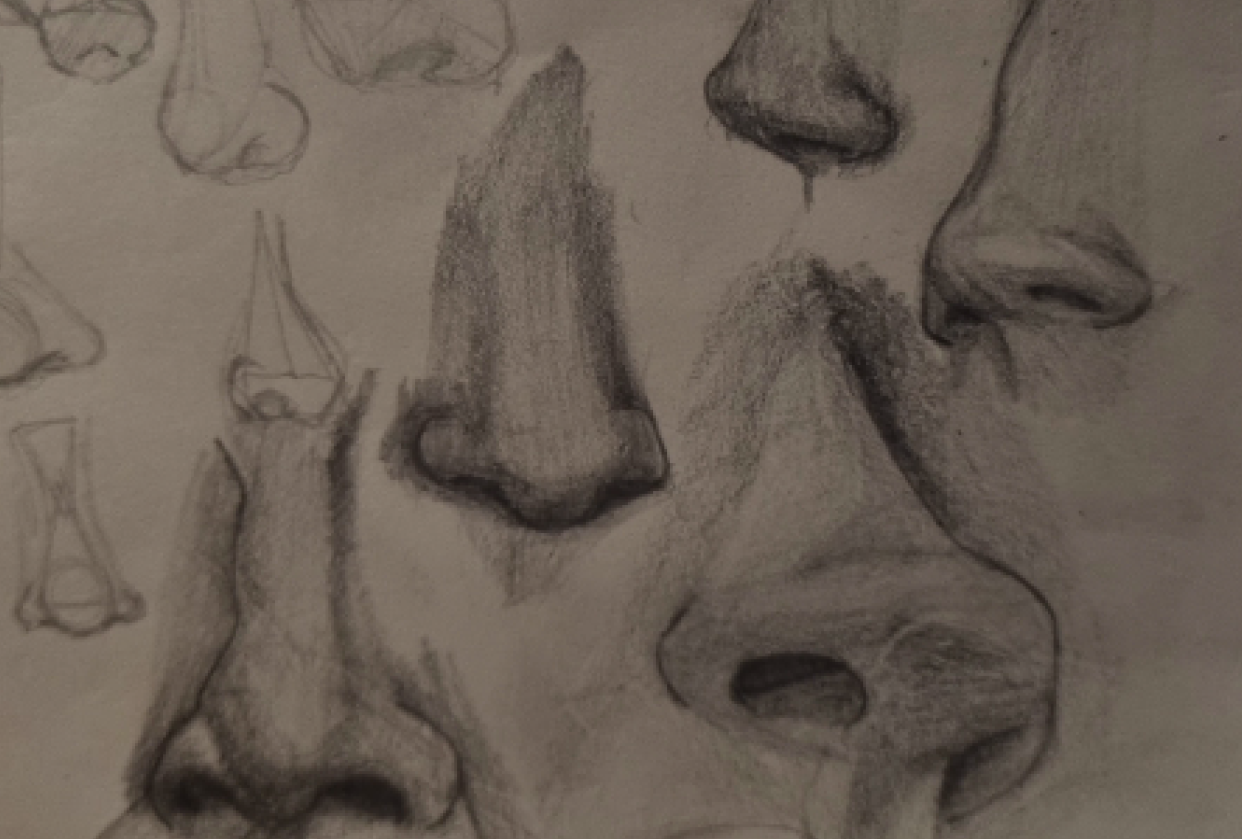 Noses - student project