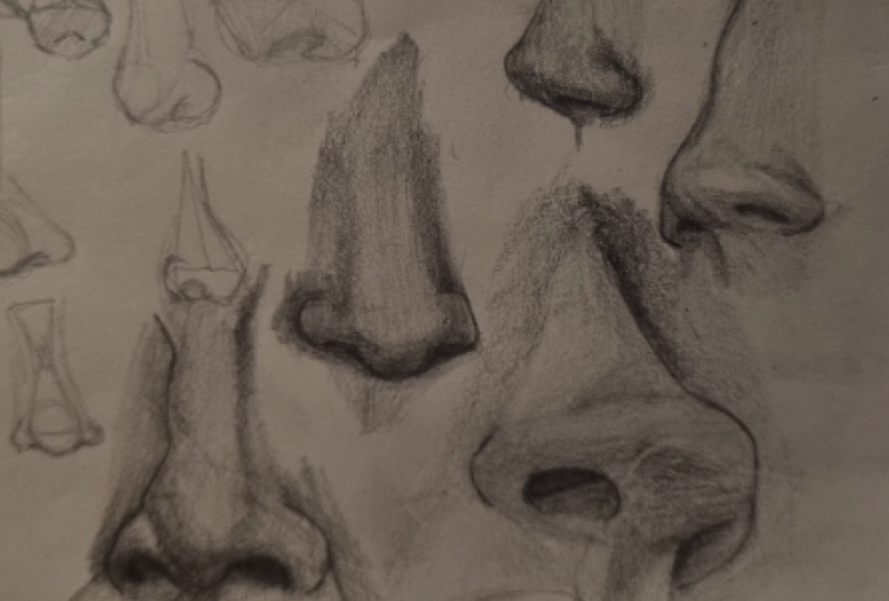 Noses