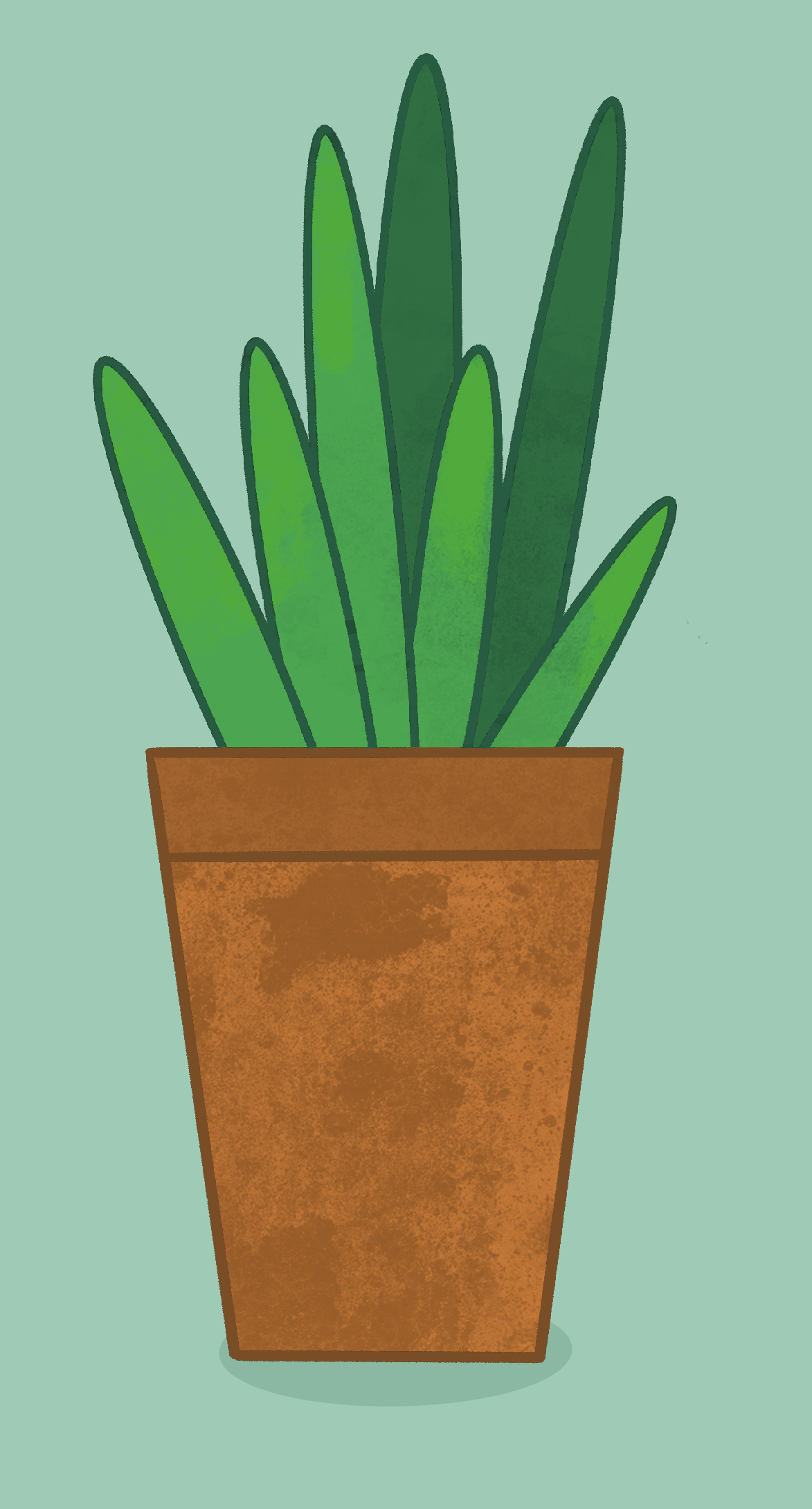 more-projects-from-class-img