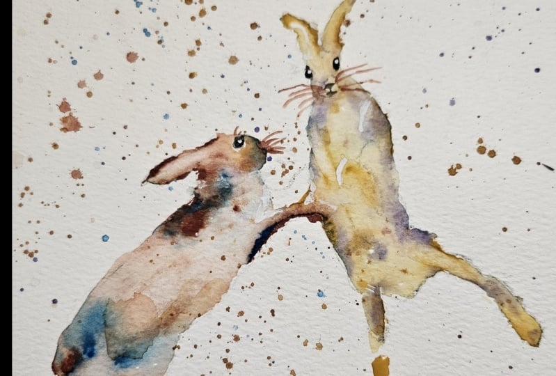 Boxing Bunnies