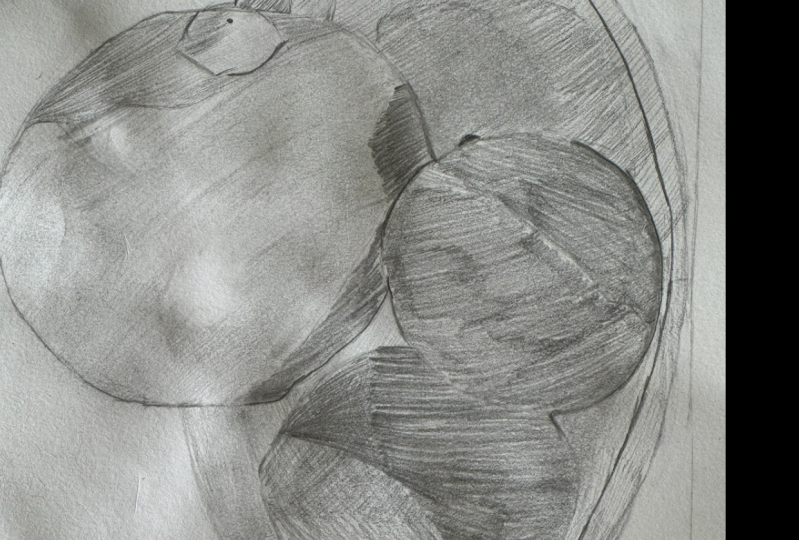Fruit bowl