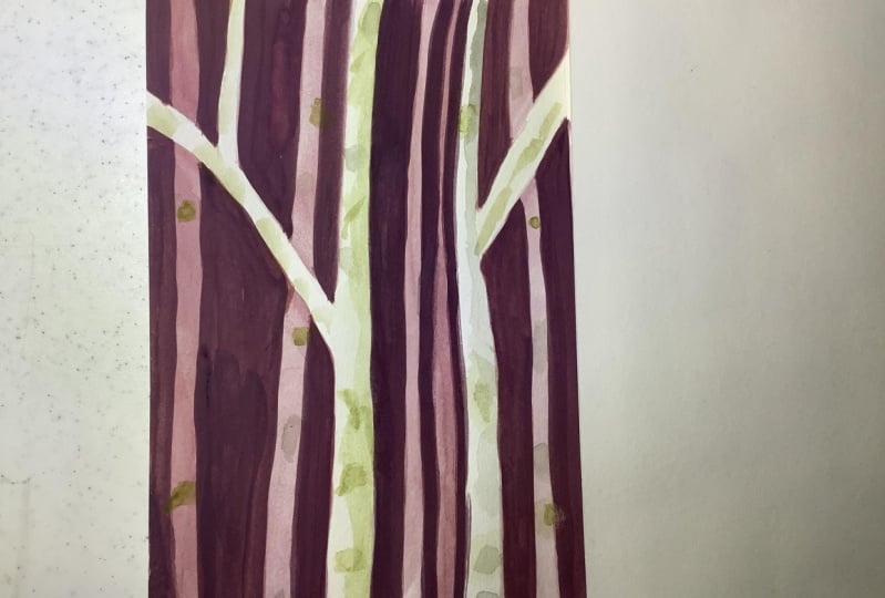 Negative space Birch Trees by Marla S