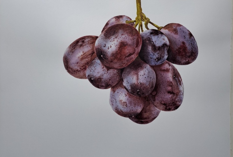 Grappe raisins