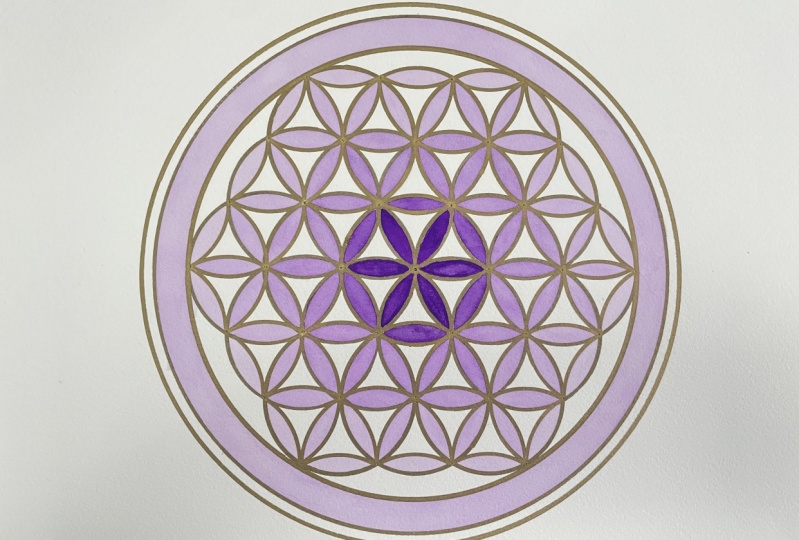Flower of Live