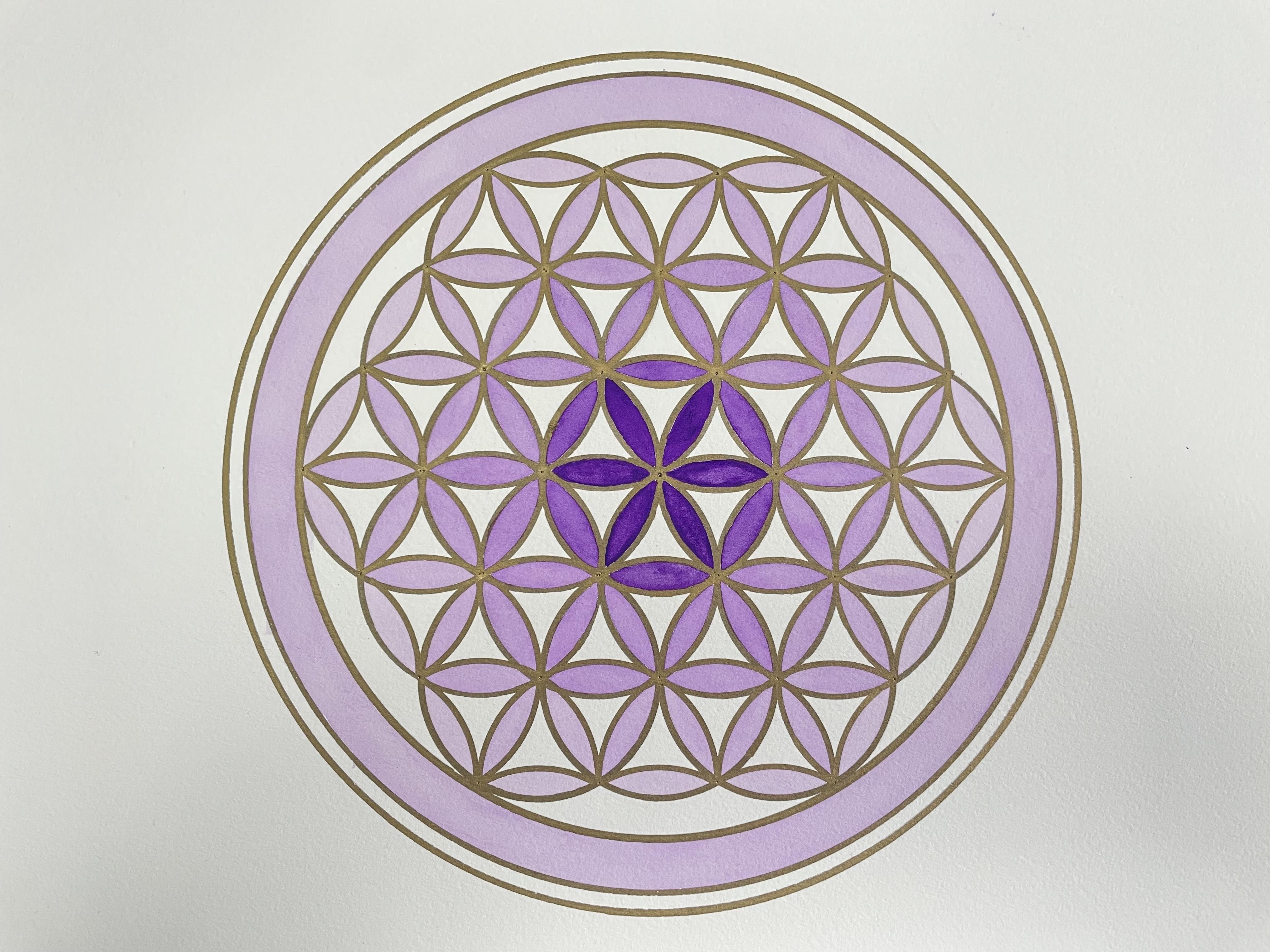 Flower of Live - student project