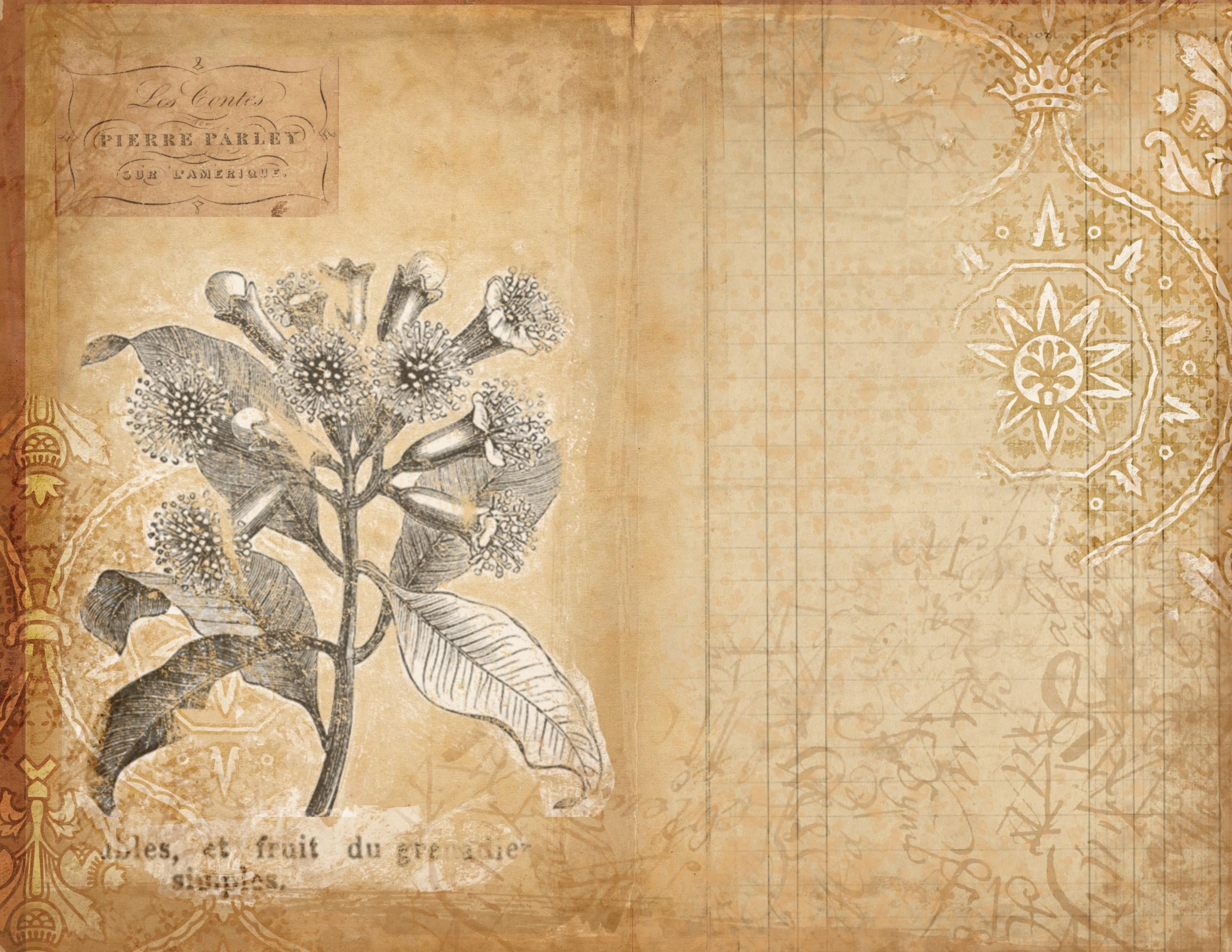 more-projects-from-class-img