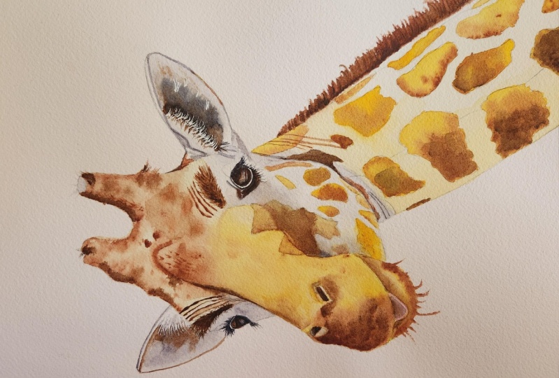 Mr. Giraffe