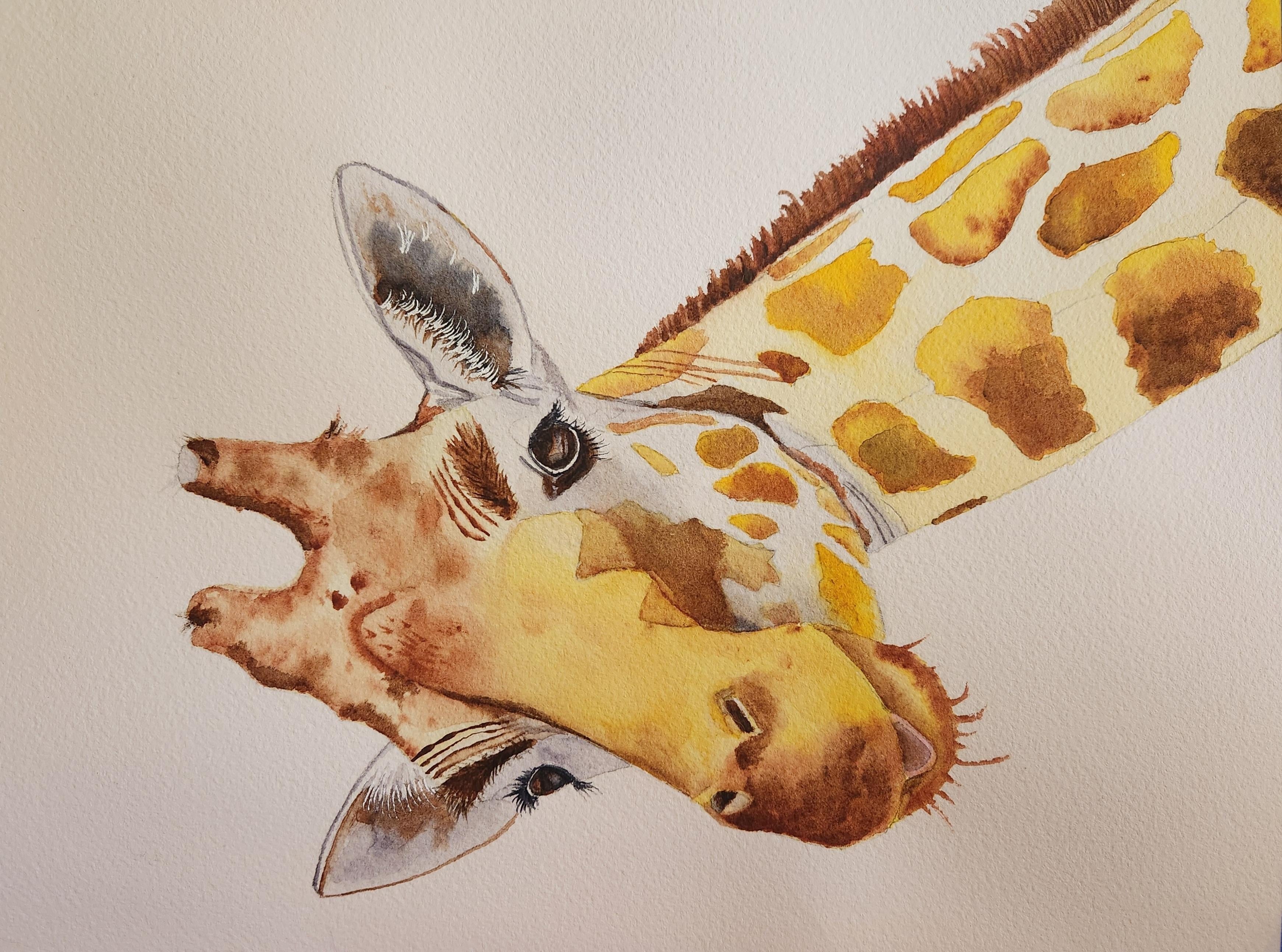 Mr. Giraffe - student project