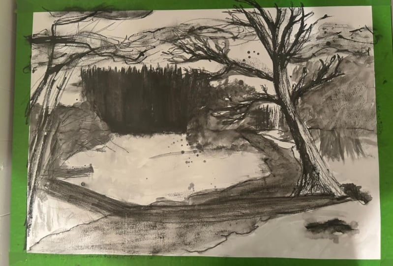 Landscape graphite version