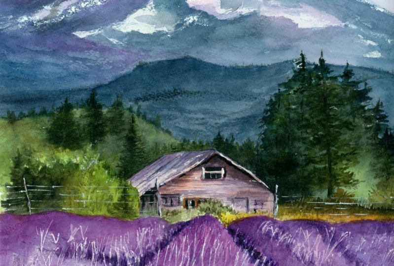 Lavender fields & the majestic Mt. Hood