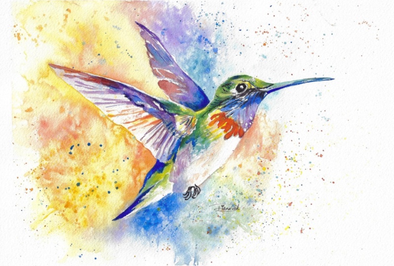 Colorful Hummingbird